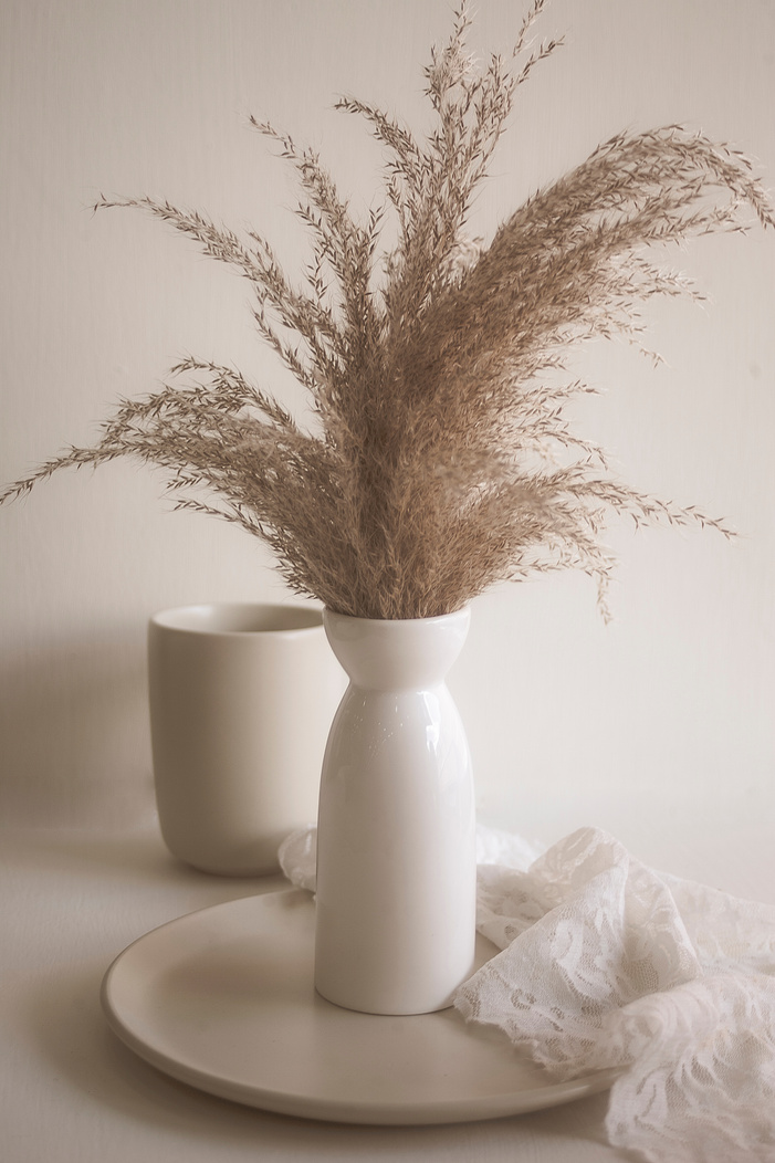 Brown Plant in White Ceramic Vase